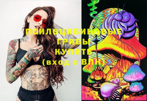 mix Аркадак