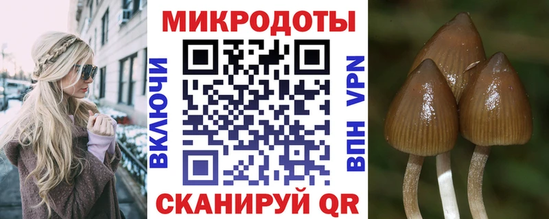 Псилоцибиновые грибы Psilocybe  купить наркоту  MEGA ССЫЛКА  Миньяр 